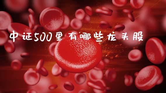 中证500里有哪些龙头股_https://cj002.lansai.wang_股市问答_第1张