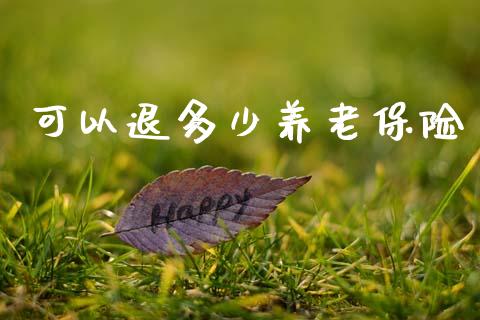 可以退多少养老保险_https://cj002.lansai.wang_财经百问_第1张