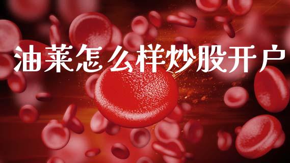 油莱怎么样炒股开户_金融问答_第1张_财经百问网 油莱怎么样炒股开户_https://cj002.lansai.wang_金融问答_第1张