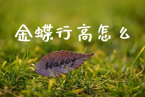金蝶行高怎么_https://cj002.lansai.wang_保险问答_第1张
