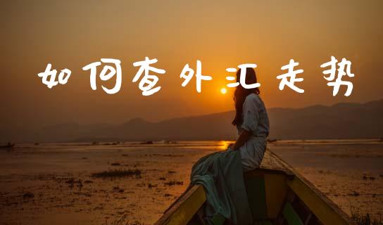 如何查外汇走势_https://cj002.lansai.wang_财经问答_第1张