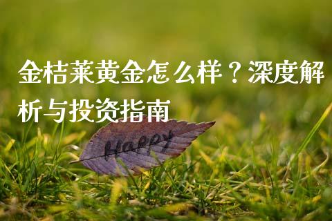 金桔莱黄金怎么样？深度解析与投资指南_https://cj002.lansai.wang_保险问答_第1张