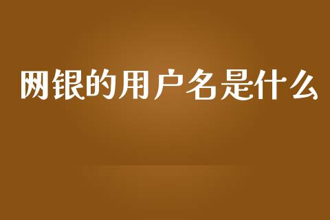 网银的用户名是什么_https://cj002.lansai.wang_理财问答_第1张