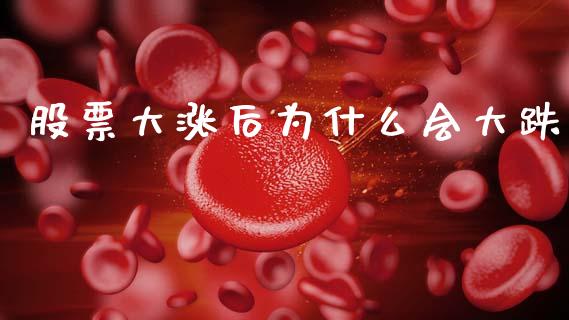股票大涨后为什么会大跌_https://cj002.lansai.wang_股市问答_第1张