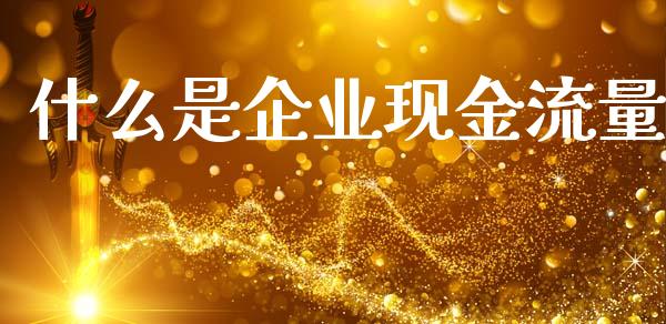 什么是企业现金流量_https://cj002.lansai.wang_会计问答_第1张