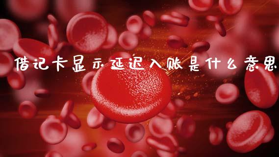 借记卡显示延迟入账是什么意思_https://cj002.lansai.wang_金融问答_第1张
