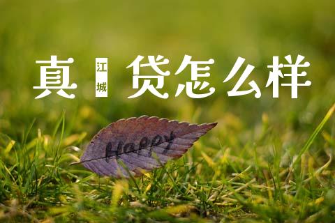 真鑫贷怎么样_https://cj002.lansai.wang_理财问答_第1张