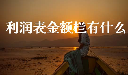 利润表金额栏有什么_https://cj002.lansai.wang_会计问答_第1张