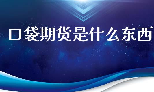 口袋期货是什么东西_https://cj002.lansai.wang_金融问答_第1张