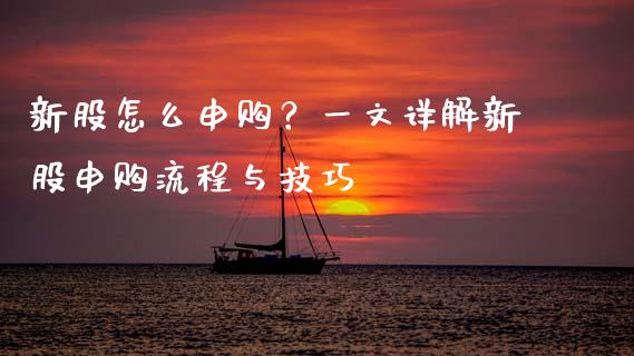 新股怎么申购？一文详解新股申购流程与技巧_https://cj002.lansai.wang_财经百问_第1张