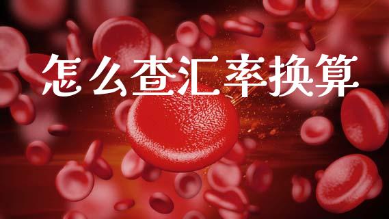怎么查汇率换算_https://cj002.lansai.wang_财经问答_第1张