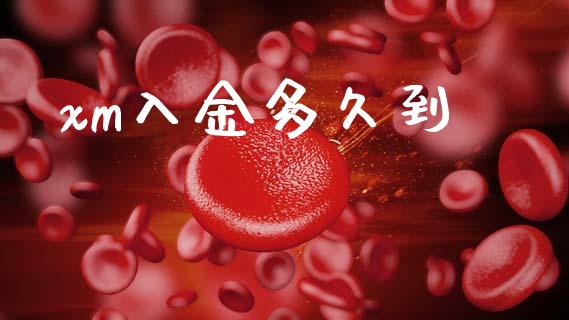 xm入金多久到_https://cj002.lansai.wang_财经问答_第1张