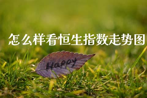 怎么样看恒生指数走势图_https://cj002.lansai.wang_金融问答_第1张