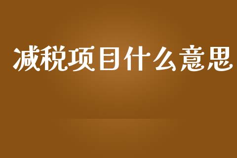 减税项目什么意思_https://cj002.lansai.wang_会计问答_第1张