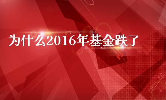 为什么2016年基金跌了_https://cj002.lansai.wang_金融问答_第1张