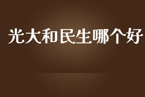 光大和民生哪个好_https://cj002.lansai.wang_财经问答_第1张