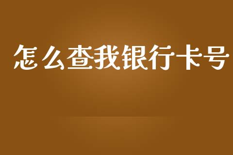 怎么查我银行卡号_https://cj002.lansai.wang_金融问答_第1张