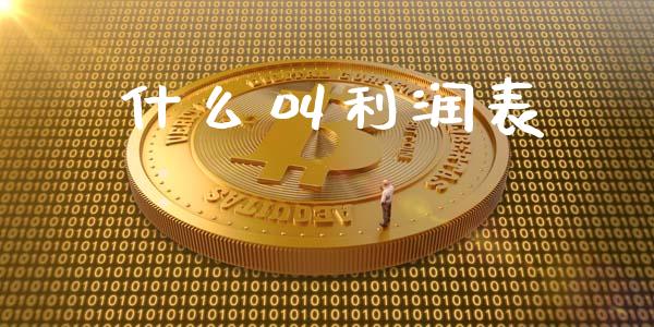 什么叫利润表_https://cj002.lansai.wang_会计问答_第1张