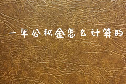 一年公积金怎么计算的_https://cj002.lansai.wang_保险问答_第1张