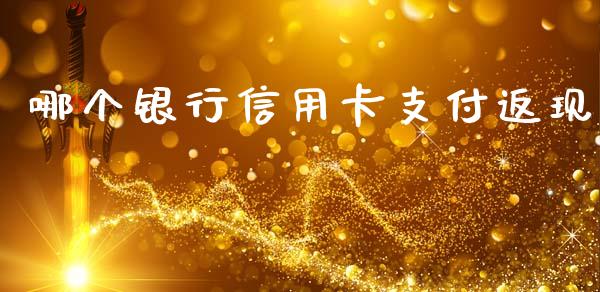 哪个银行信用卡支付返现_https://cj002.lansai.wang_理财问答_第1张