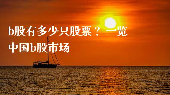 b股有多少只股票？ 一览中国b股市场_https://cj002.lansai.wang_期货问答_第1张