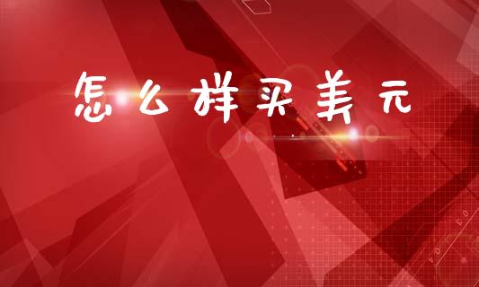 怎么样买美元_https://cj002.lansai.wang_财经百问_第1张