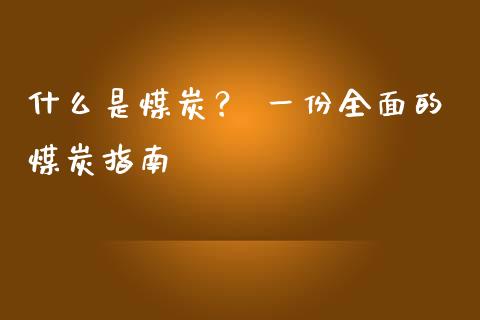 什么是煤炭？ 一份全面的煤炭指南_https://cj002.lansai.wang_金融问答_第1张