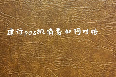 建行pos机消费如何对帐_https://cj002.lansai.wang_财经问答_第1张