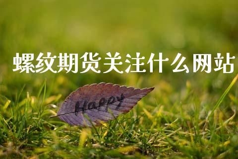 螺纹期货关注什么网站_https://cj002.lansai.wang_保险问答_第1张