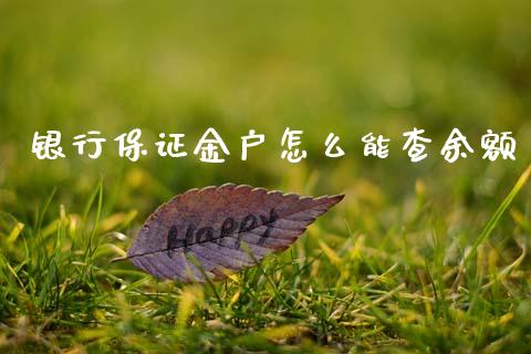 银行保证金户怎么能查余额_https://cj002.lansai.wang_股市问答_第1张