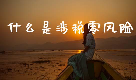 什么是涉税零风险_https://cj002.lansai.wang_会计问答_第1张