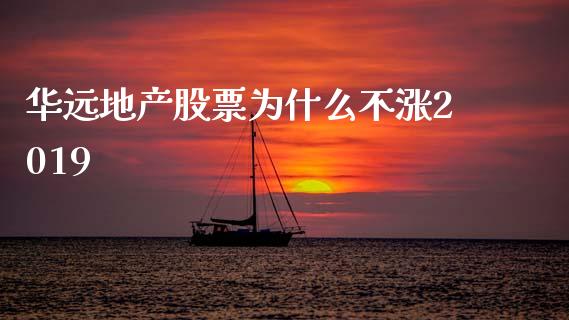 华远地产股票为什么不涨2019_https://cj002.lansai.wang_股市问答_第1张