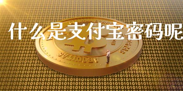 什么是支付宝密码呢_https://cj002.lansai.wang_理财问答_第1张