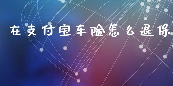 在支付宝车险怎么退保_https://cj002.lansai.wang_保险问答_第1张