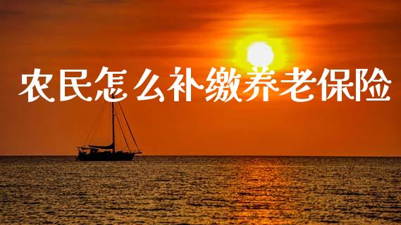 农民怎么补缴养老保险_https://cj002.lansai.wang_保险问答_第1张
