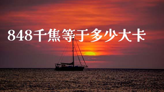 848千焦等于多少大卡_https://cj002.lansai.wang_财经问答_第1张