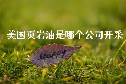 美国页岩油是哪个公司开采_https://cj002.lansai.wang_期货问答_第1张