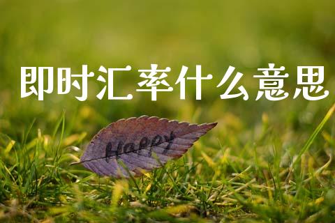 即时汇率什么意思_https://cj002.lansai.wang_财经问答_第1张