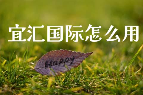 宜汇国际怎么用_https://cj002.lansai.wang_财经问答_第1张