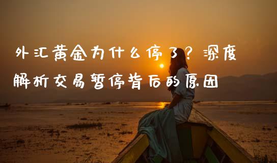 外汇黄金为什么停了？深度解析交易暂停背后的原因_https://cj002.lansai.wang_金融问答_第1张