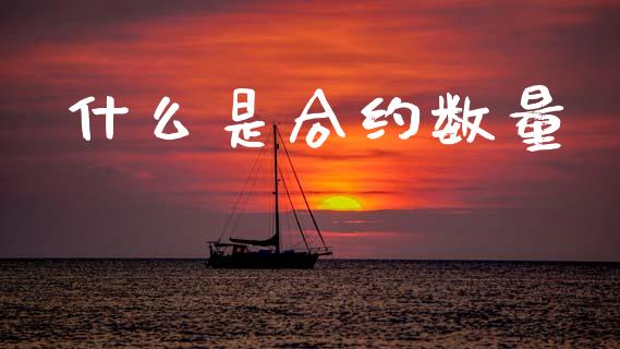 什么是合约数量_https://cj002.lansai.wang_会计问答_第1张