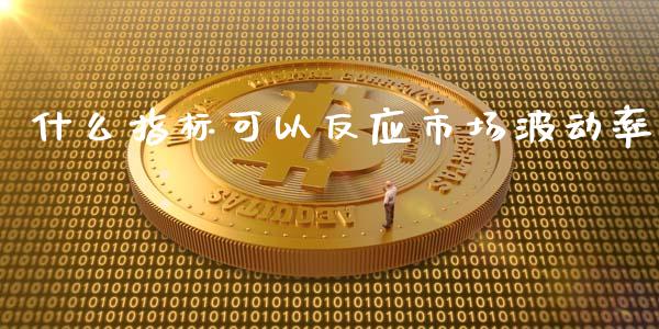 什么指标可以反应市场波动率_https://cj002.lansai.wang_期货问答_第1张