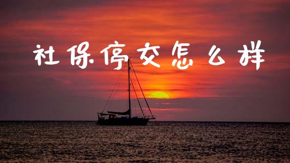社保停交怎么样_https://cj002.lansai.wang_保险问答_第1张