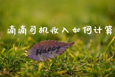 滴滴司机收入如何计算_财经百问_第1张_财经百问网 滴滴司机收入如何计算_https://cj002.lansai.wang_财经百问_第1张