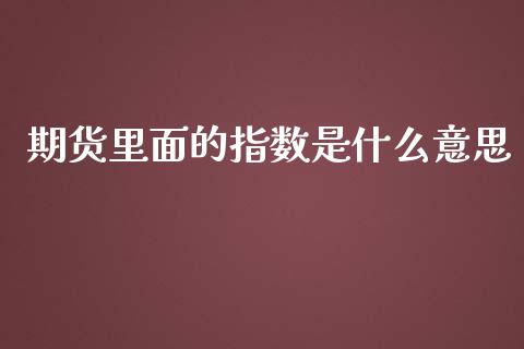 期货里面的指数是什么意思_https://cj002.lansai.wang_期货问答_第1张