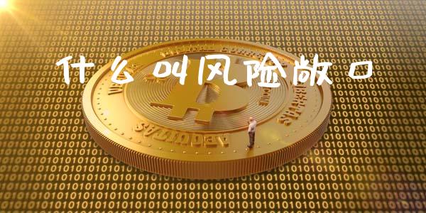 什么叫风险敞口_https://cj002.lansai.wang_会计问答_第1张