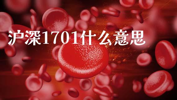 沪深1701什么意思_https://cj002.lansai.wang_理财问答_第1张