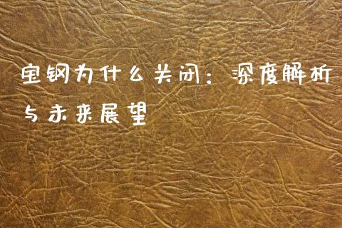 宝钢为什么关闭：深度解析与未来展望_https://cj002.lansai.wang_理财问答_第1张