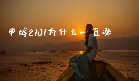 甲醇2101为什么一直涨_https://cj002.lansai.wang_保险问答_第1张