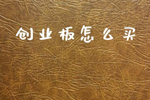 创业板怎么买_https://cj002.lansai.wang_会计问答_第1张